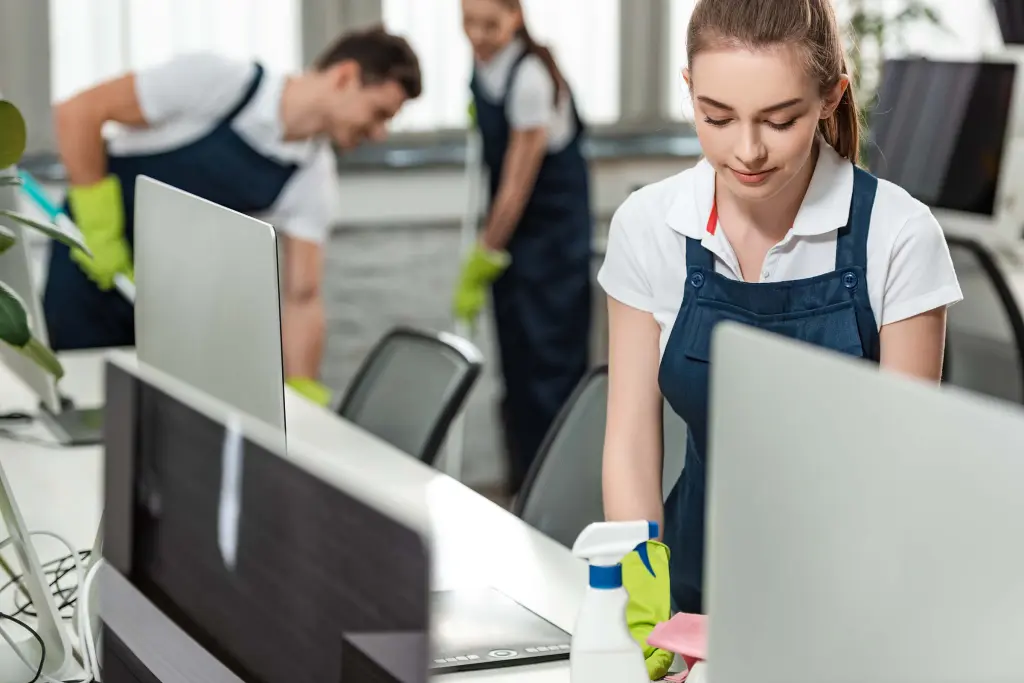 Professional Cleaning services in Australia